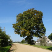 ff64563e0ff6071c658a2026267e5770