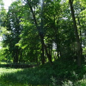 10225b971dc99c12cbfa79227c7eac61