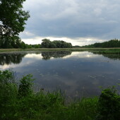 111c95fd81d546d3ac3f5fc6de8b3889