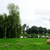 189c732126348cacefc0c2585e0c8843