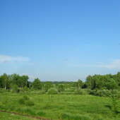 1951569f46767efc32bcf65ea9d94986