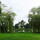 1accfcff5765fde4d58ded9bbdad03c1