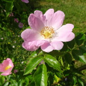 20d386f7876136e0d8f3e1d6a4f2bd18