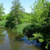 28d05355efa769675f8f597aa022c337