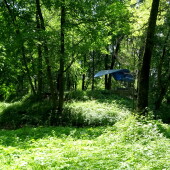 2ae92de1a9de7ce168faf909ab6065ed