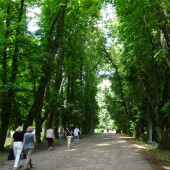 3387c2f1871d53cf43021d2fac503bdb