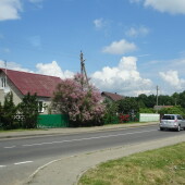 351dc568891d4443469dbe88276c777f