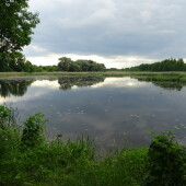 3cc4428ef4faa010070b860bf1e6142e