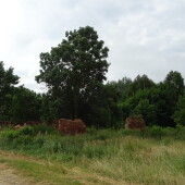 3d076d52c9112c0a8b40b7a36ebf65de