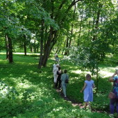 3d70cd30753a5bef9c484a8b7dbdbf8f