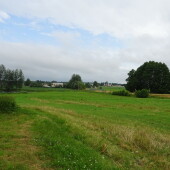 42f0958075d4f90a573c387c5de1f3a0