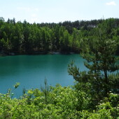 443f0fe98348c32396187bfb023bef5d