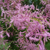 4e014cf69a37ff3029d16ba0343f47db