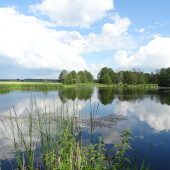 4ffcb48c0dc0f69d5c80683710ae87de