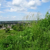 525fcaa4b9f7f4ecdd5247add91aafe0