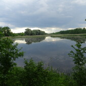 53c0444659d0c1bfc54d71b687d597c7