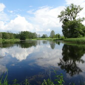 54948d8973de755cbe3aada6ca8554dc