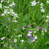 5dce87f13b3f7d5533c531a98b789730