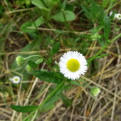 62650ed6681d0018c0852a5b7cd0aa27