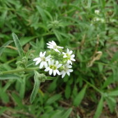 69442ea46842886ef45f572888559f90