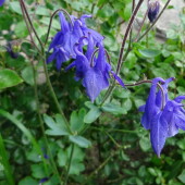 77b6fafca9f9e19192222c5638bc3090