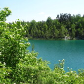 7b8d739a6587c5bbb251a23302e0b9e3