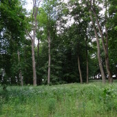 7bbb8991b1054a115fbc6b2d80534d15