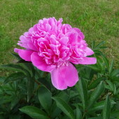 8482f74546de5123d52357fa49ffd15d