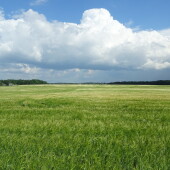 8a708861a455cd9c86d9f4b725d1c036