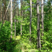 8de5df592c4a2081ffee93c804e14f66