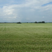 9144ab06361fd016c8d4778062e838fa