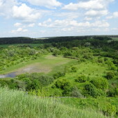 97650100ea149dfd2db40e69be957bee