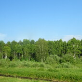 a52b8232c58051d73bbce542662d8f6f