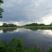 a7bf46fe825c0afa53949be06801676f