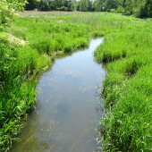 afa7f6525a775f90097a22ebfc95a915