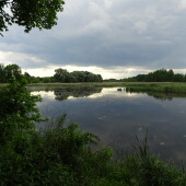 b55b85a4b51227053ddd3a95a242037e