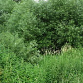 b5914061971470bcbad4949811cbf92d