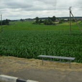 b59d1e0b64c148042afa0c4dca284b77