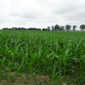 b65aef506bbfd1db849a7d1eabe13cf3