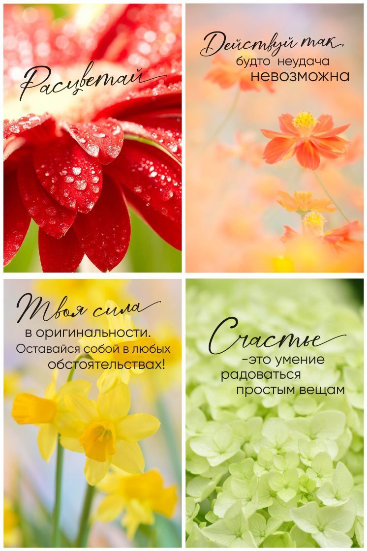 eb03fd9794d23353d5ad3936080d4e56