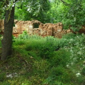 c72f99414811ba16d4f769388ce96304