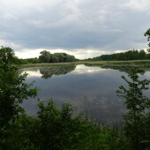 cd6e17336add91b002e5a5a96ab57fb1