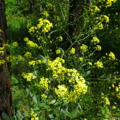 ce7a8b410202170c47be0a6bdcaeb05e