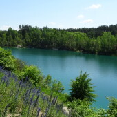 d5d661574e1e7af7af4503ece99b3574