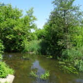 ddef6b9d82416941fdb93e83d7af5ad7