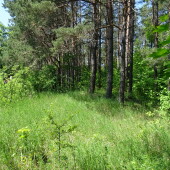 e2e5d672f594dc951c43c134533c9f41