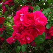 e3aad229e3f6aa78fc89258309bbbef9