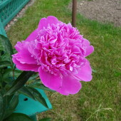 ebd297336956793b40e51b6ac1264179