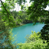 f33bb33a15291d802427a0cee64fc92b