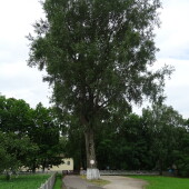 f5f8a617a4e913d00140fb06cefa6983